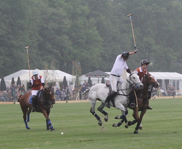 Polo_Art   102.jpg